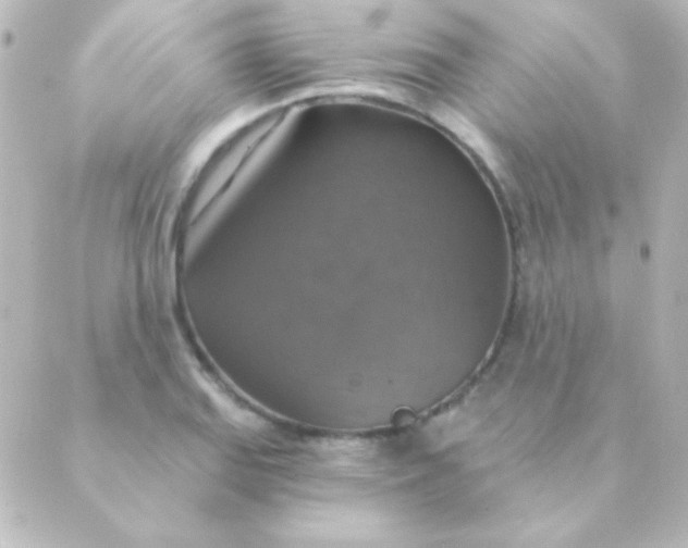 X0000088851127200706221653