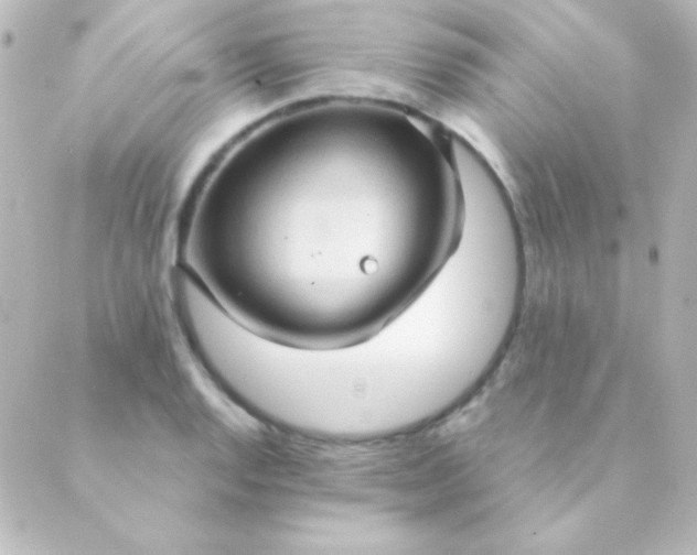 X0000088851128200706221653