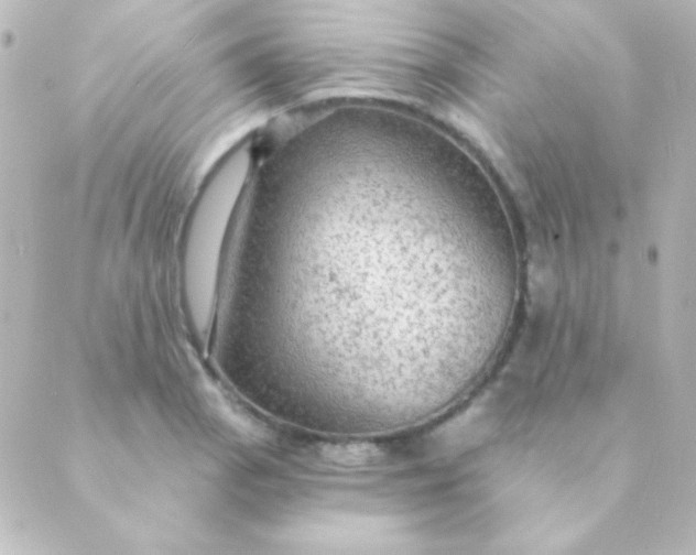 X0000088851129200706221653