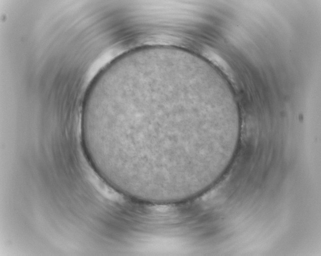 X0000088851130200706221653