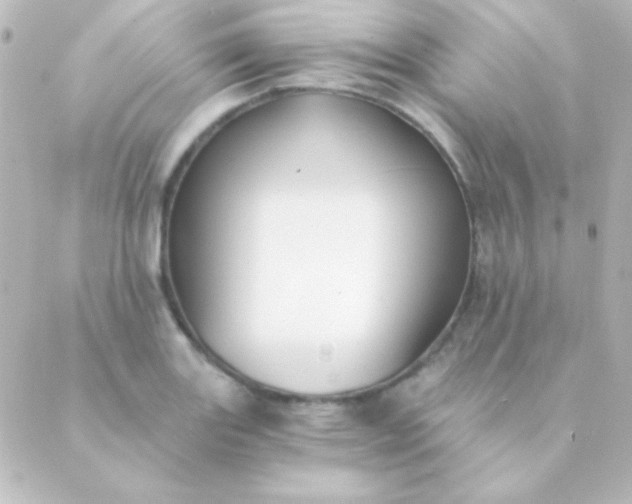 X0000088851131200706221653