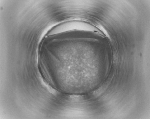 X0000088851132200706221653