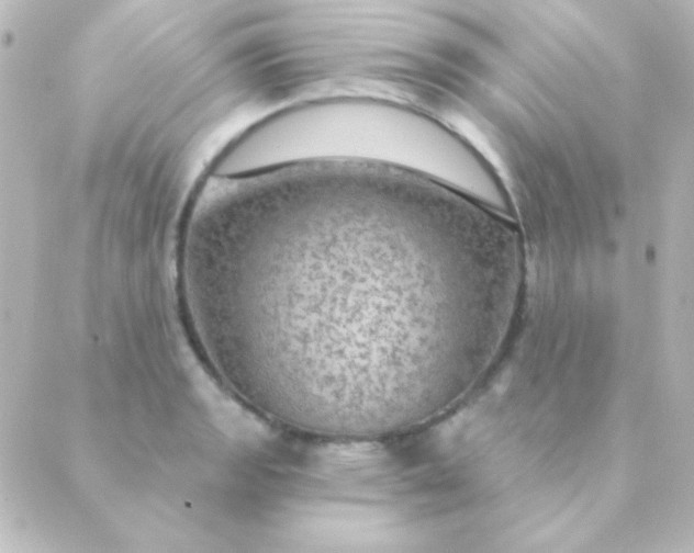 X0000088851133200706221653