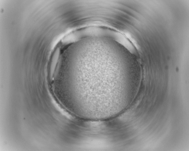 X0000088851134200706221653