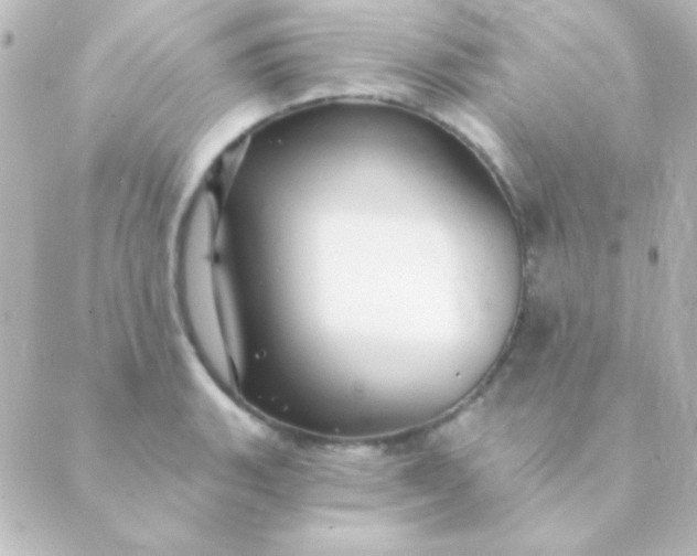 X0000088851135200706221654