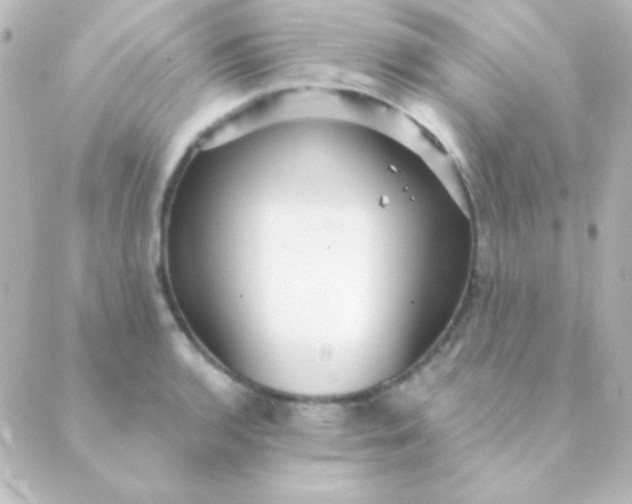 X0000088851136200706221654