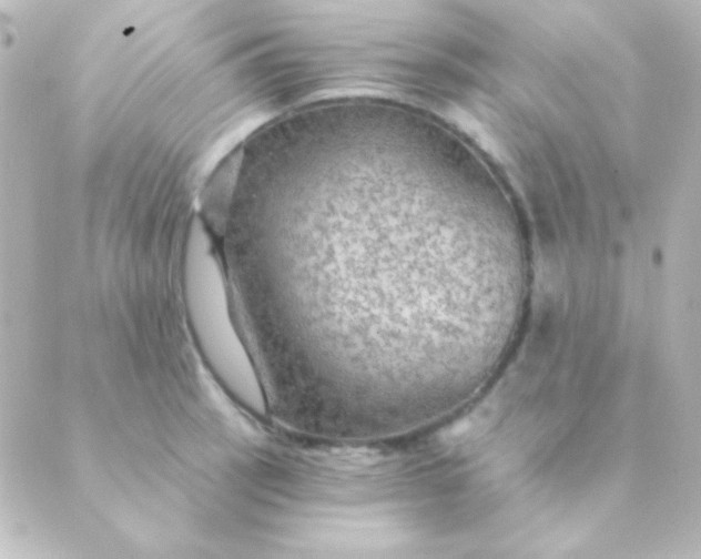 X0000088851137200706221654