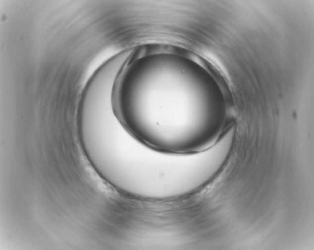 X0000088851138200706221654