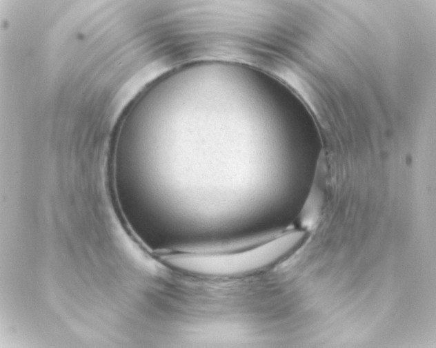 X0000088851139200706221654