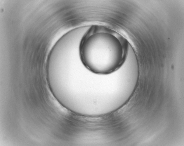 X0000088851140200706221654