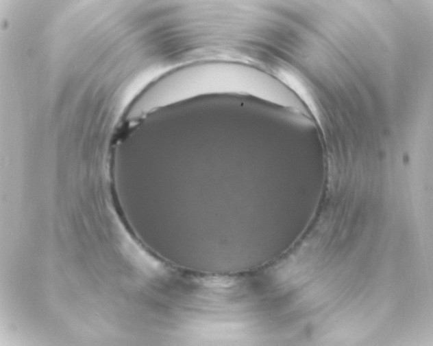 X0000088851141200706221654