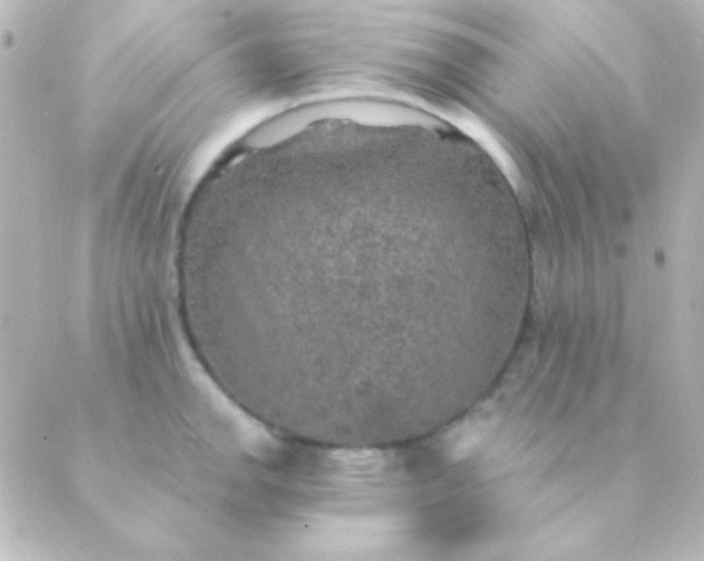 X0000088851142200706221654