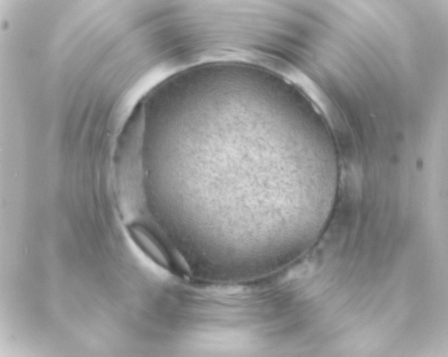 X0000088851143200706221654