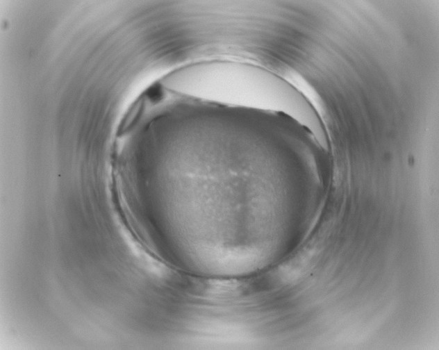 X0000088851144200706221654