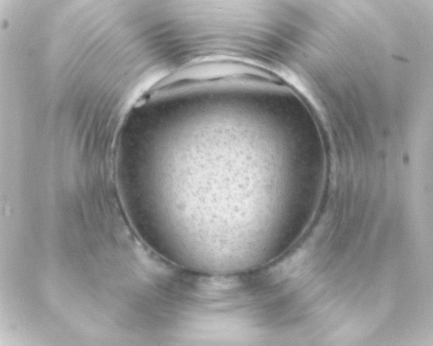 X0000088851145200706221654