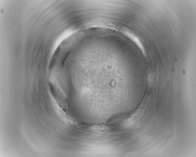 X0000088851146200706221654