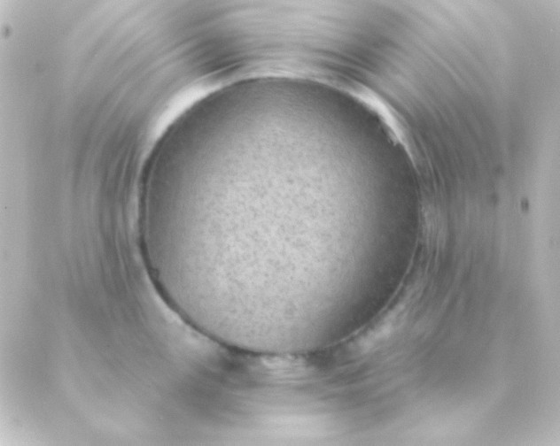 X0000088851147200706221654