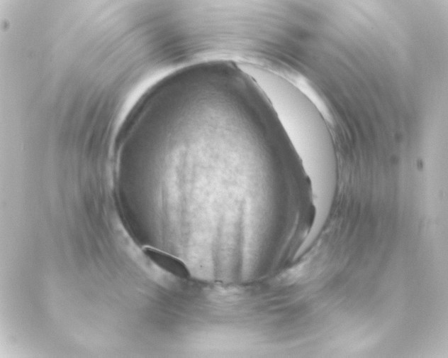 X0000088851148200706221654