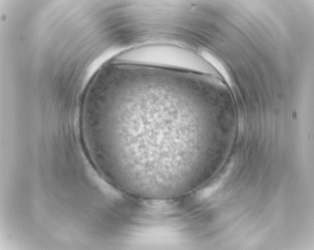 X0000088851149200706221654