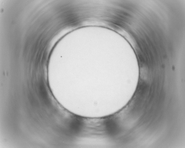 X0000088851150200706221654