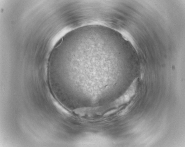 X0000088851151200706221654