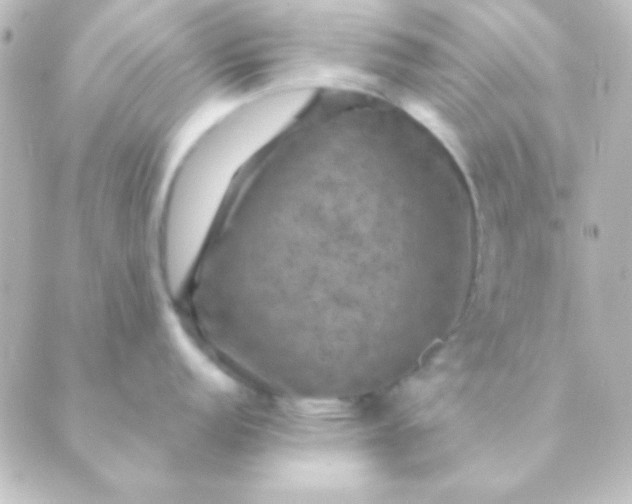 X0000088851152200706221654