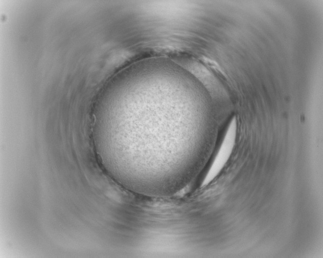 X0000088851153200706221653