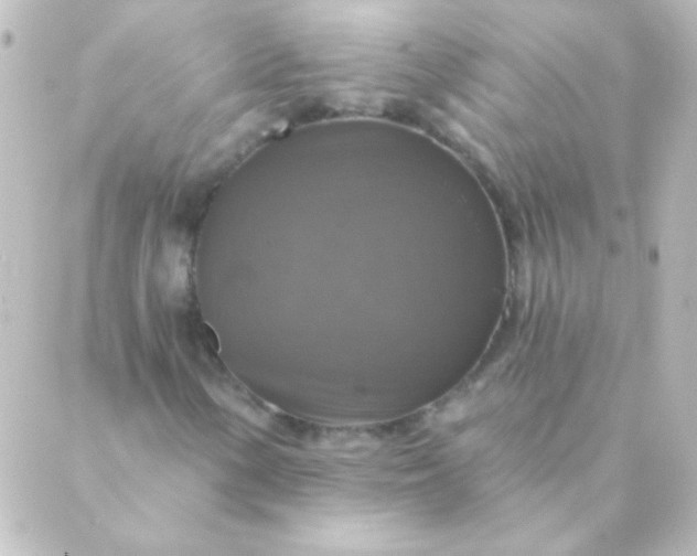 X0000088851154200706221653