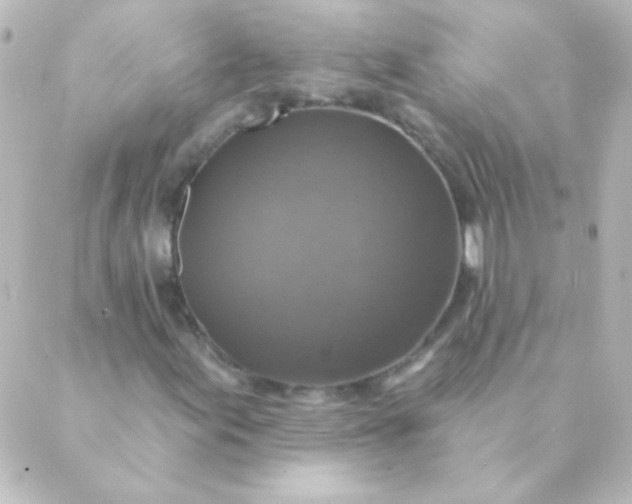 X0000088851155200706221653