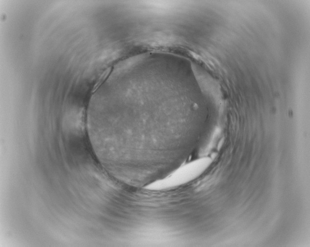 X0000088851156200706221653