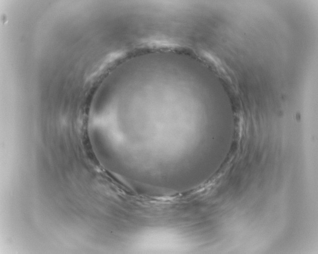 X0000088851157200706221653