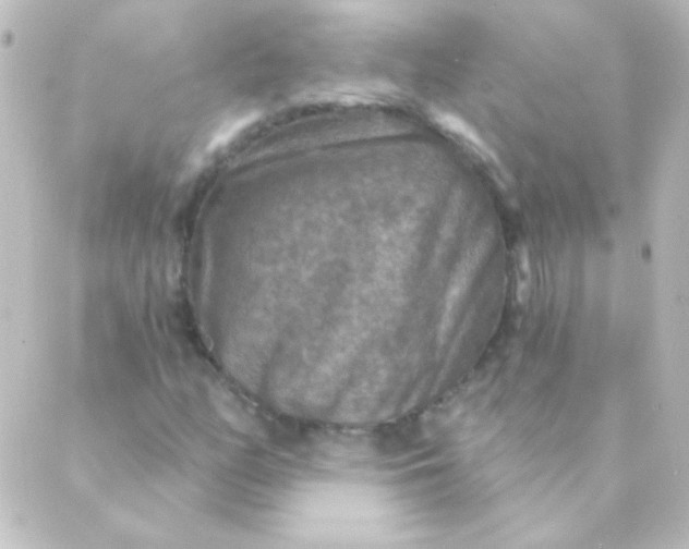 X0000088851158200706221653