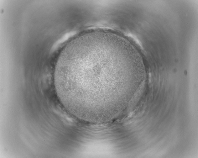 X0000088851159200706221653