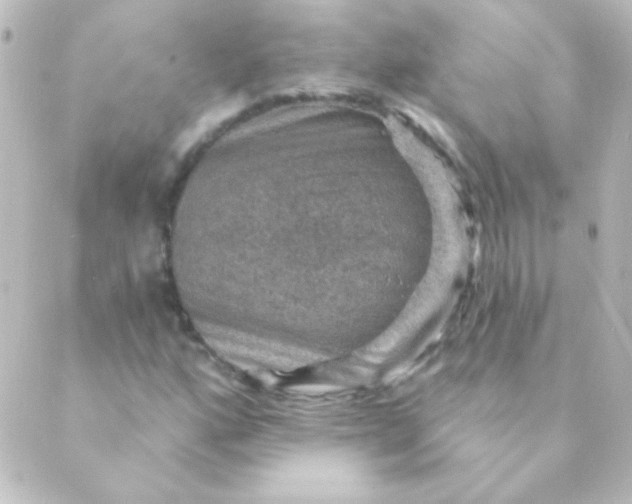 X0000088851160200706221653