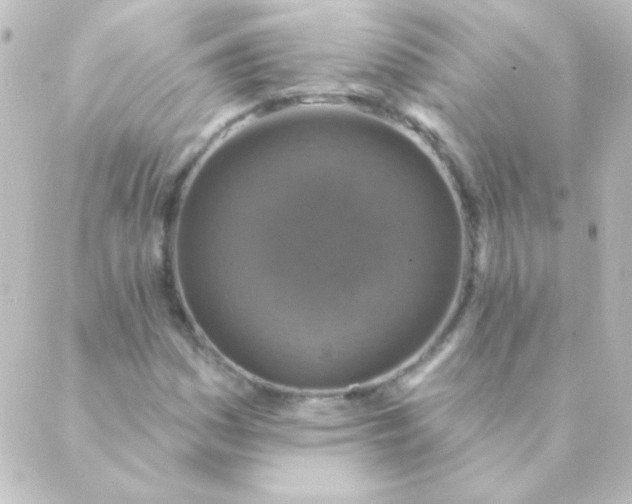 X0000088851161200706221653