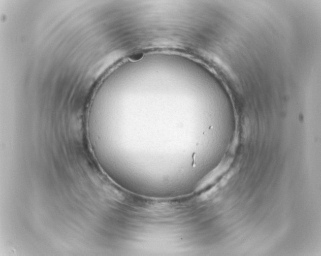 X0000088851162200706221653