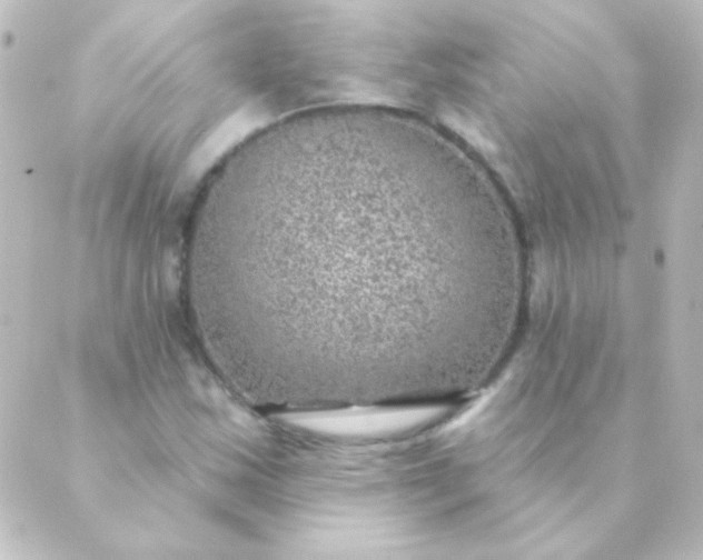 X0000088851163200706221653