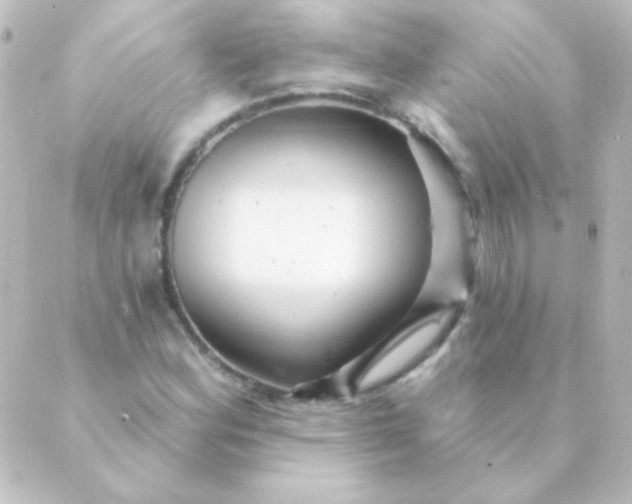 X0000088851164200706221653