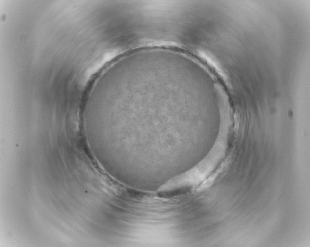 X0000088851165200706221653