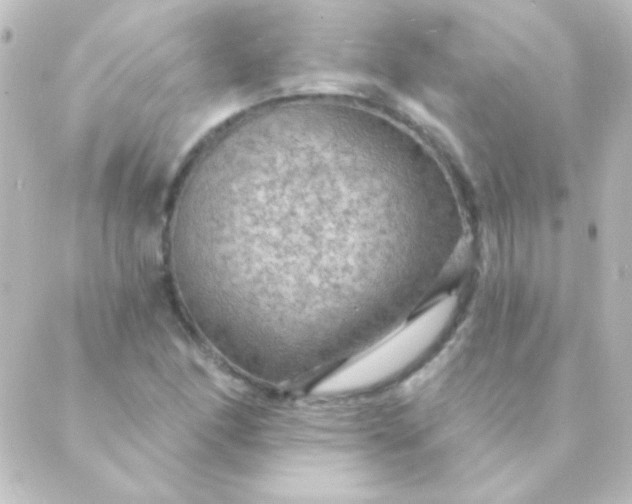 X0000088851166200706221653