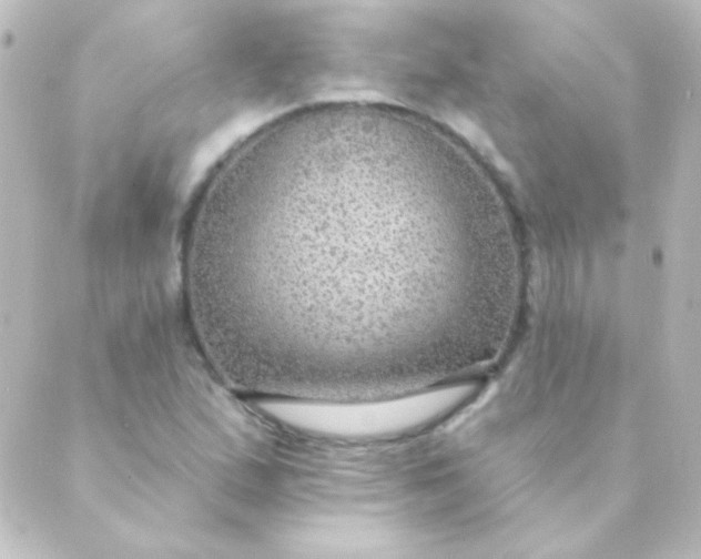 X0000088851167200706221653