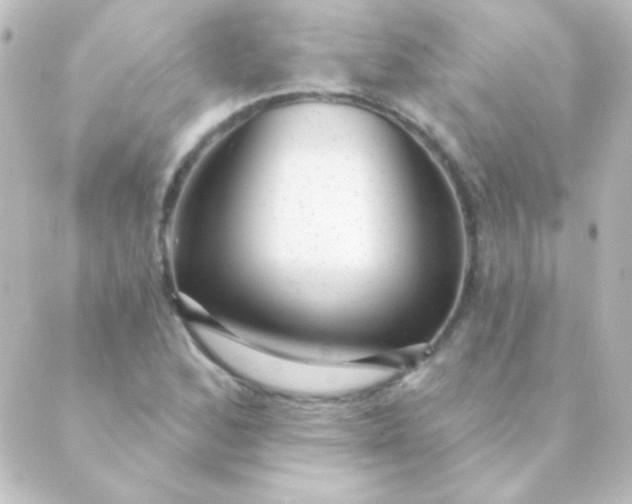 X0000088851168200706221653