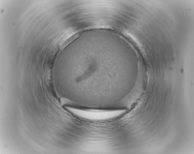 X0000088851169200706221653