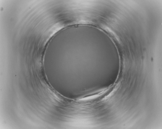 X0000088851170200706221653