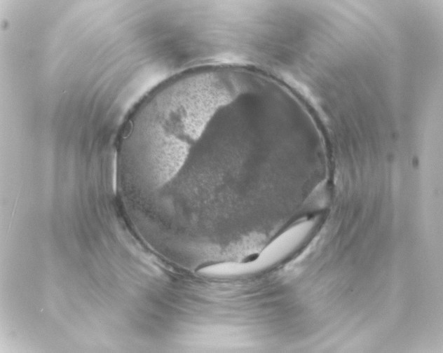 X0000088851171200706221653