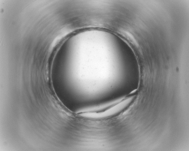 X0000088851172200706221653