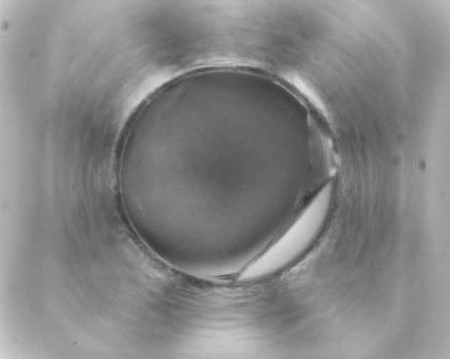 X0000088851173200706221653