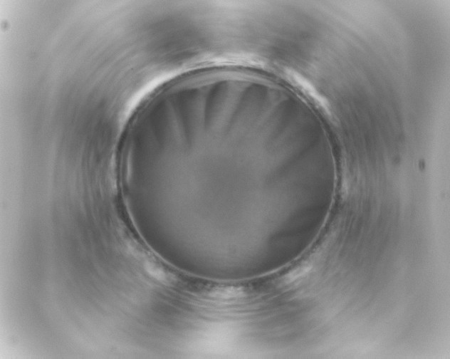 X0000088851174200706221653