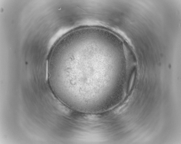 X0000088851175200706221653