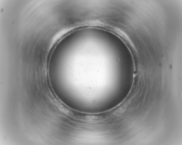 X0000088851176200706221653